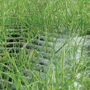 GrassProtecta Grass Reinforcement Mesh - 6.56' x 65.6' Roll - 432 Sq. Ft. - Standard Grade