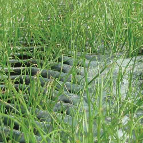 GrassProtecta Grass Reinforcement Mesh - 6.56' x 65.6' Roll - 432 Sq. Ft. - Standard Grade