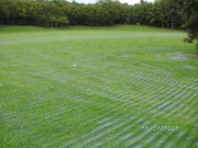 GrassProtecta Grass Reinforcement Mesh - 6.56' x 65.6' Roll - 432 Sq. Ft. - Standard Grade