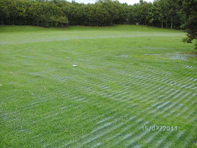 GrassProtecta Grass Reinforcement Mesh - 6.56' x 65.6' Roll - 432 Sq. Ft. - Standard Grade