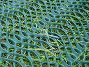 GrassProtecta Grass Reinforcement Mesh - 6.56' x 65.6' Roll - 432 Sq. Ft. - Standard Grade