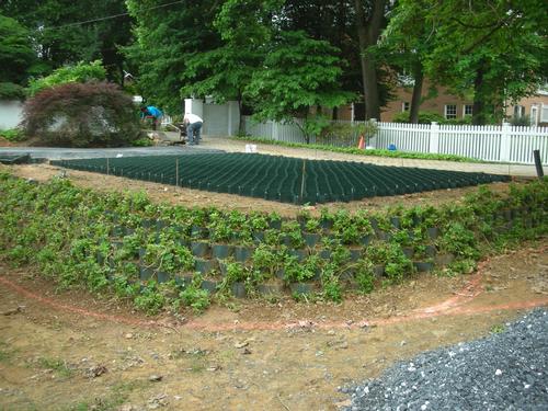 Cell-Tek Geocell Gravel Grid - LSG-3  (8' x 22.5' x 3")