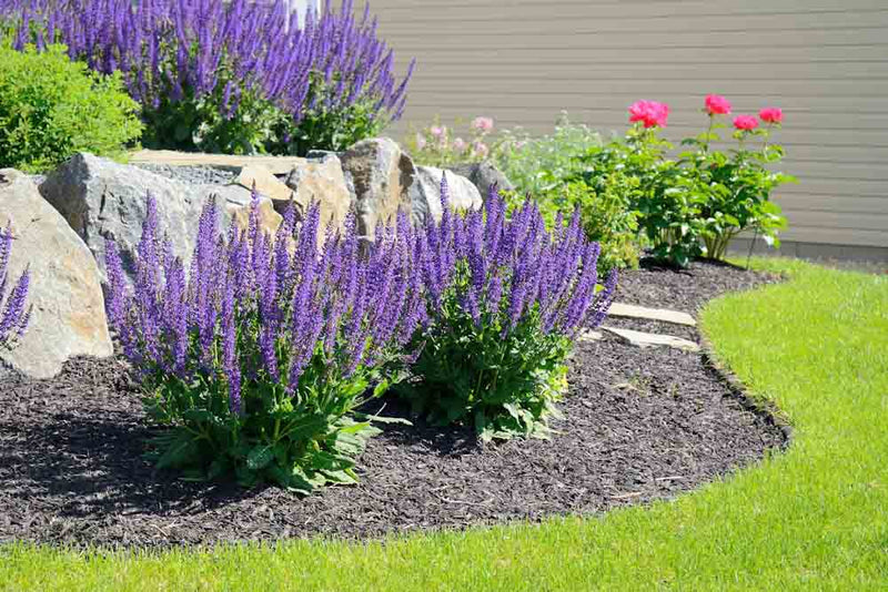 Finished Weed Barrier Installation in Landscaped Backyard