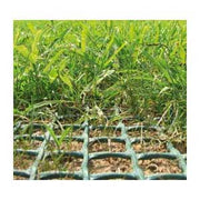 Grass Protection Mesh - 6.7' x 100' Roll - 670 Sq. Ft. - Turf Protection