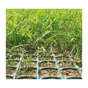 Grass Protection Mesh - 6.7' x 100' Roll - 670 Sq. Ft. - Turf Protection