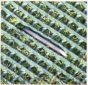 Turf Staples 500 Count