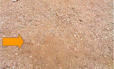 NDS EZ Roll Gravel Pavers - GP4X150 - 4' x 150' Roll - Black