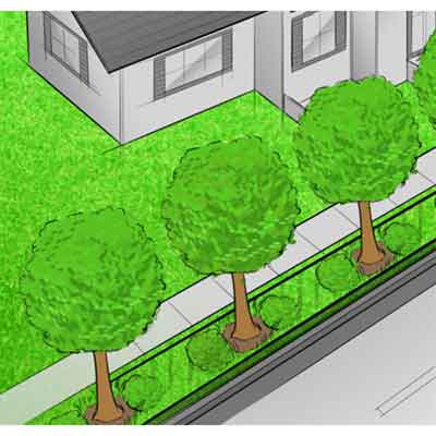 Root barrier sheet material installed alongside a hedge and sidewalk