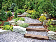 Beautifully manicured backyard