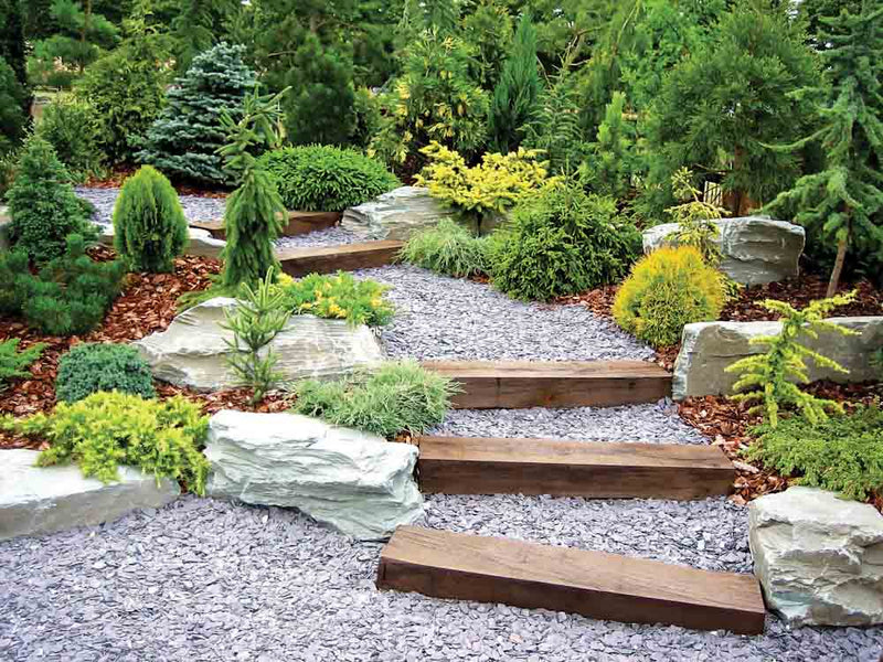 Beautifully manicured backyard