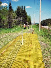 Workers installing yellow Biobarrier root control fabric along a utility right-of-way trench near power lines
