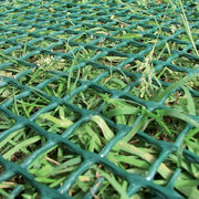 Grass reinforcement mesh installed as a reinforced turf path through a landscaped garden

