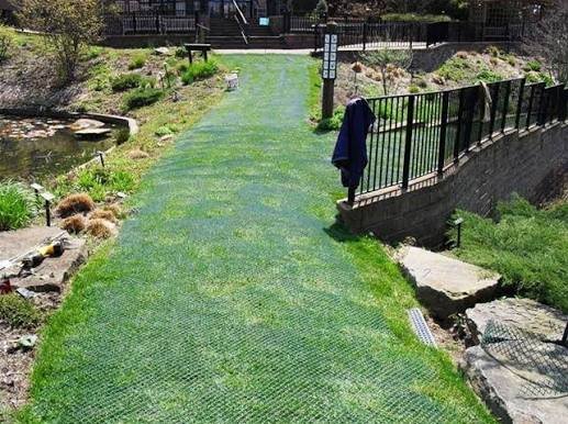 Grass reinforcement mesh installed as a reinforced turf path through a landscaped garden
