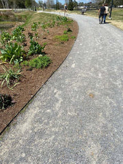 Gravel paver path curving along a landscaped pond edge in a public park
