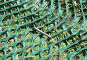 Close-up of dark green Keep-It-Green grass reinforcement mesh with grass growing through the cells

