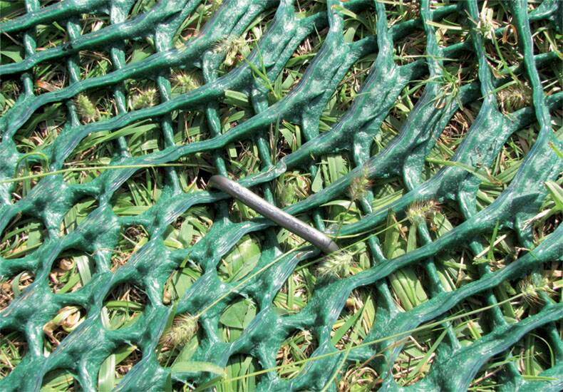 Close-up of dark green Keep-It-Green grass reinforcement mesh with grass growing through the cells
