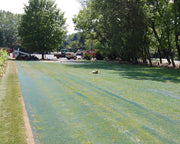 Wide view of a reinforced grass access road installed with Keep-It-Green mesh in a wooded setting
