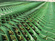 Grass and clover growing up through installed Mudstop grass protection mesh
