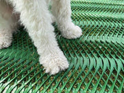 Close-up of a dog's paws standing on Mudstop grass protection mesh
