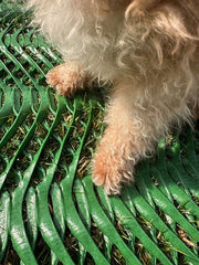 Close-up of a dog's paws walking across Mudstop grass protection mesh
