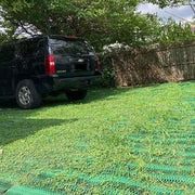Established grass growing thickly through Mudstop grass protection mesh
