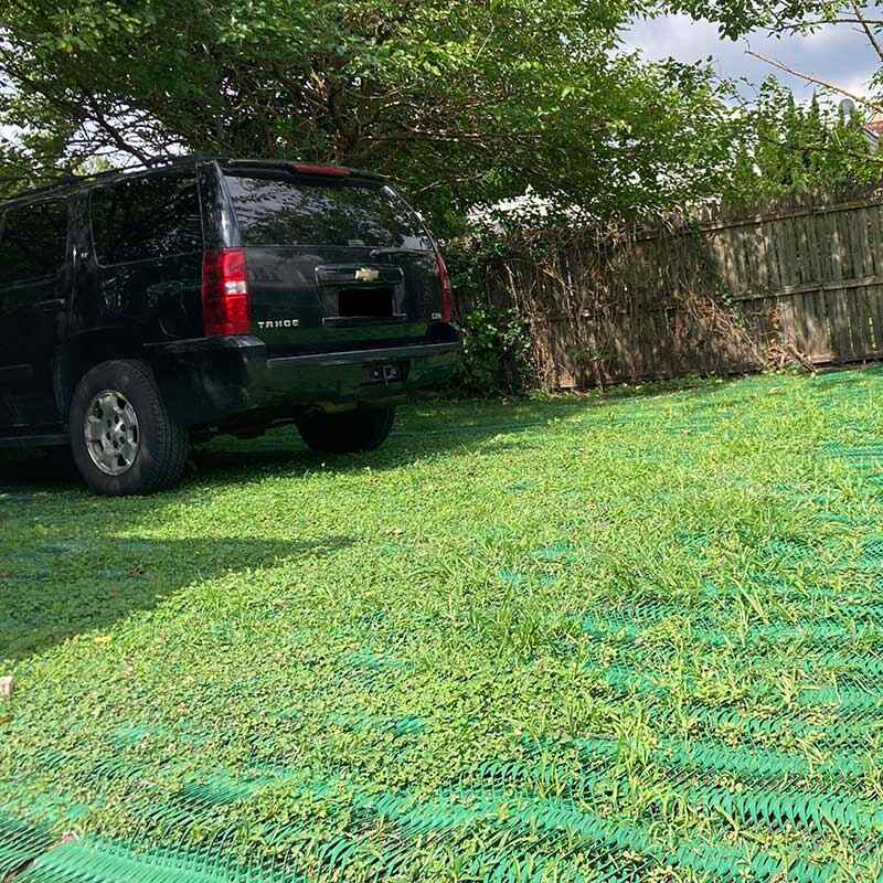 Established grass growing thickly through Mudstop grass protection mesh
