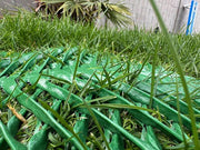 SUV parked on a backyard lawn reinforced with Mudstop grass protection mesh

