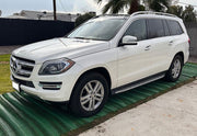 SUV parked on a driveway reinforced with Mudstop grass protection mesh, front view
