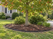 Tree root barrier edging a mulched bed beneath a sweetgum tree in a front yard
