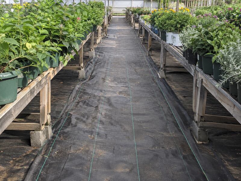 Dewitt 20 Year Weed Barrier 4.1oz Black (4' x 250')