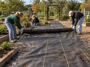 Crew rolling out woven ground cover fabric along a garden path leading to a pergola
